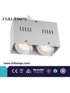 Fullamps double heads 2.*10W COB LED grille light surface ceiling lighting original sharp cob chip
