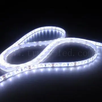 low price led studio lights