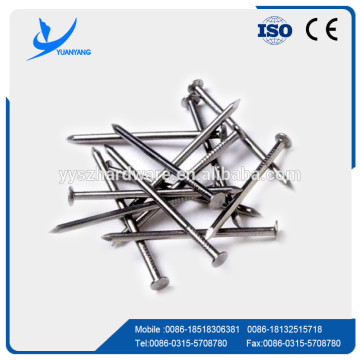 Best quanlity Polished Common flat boat nail