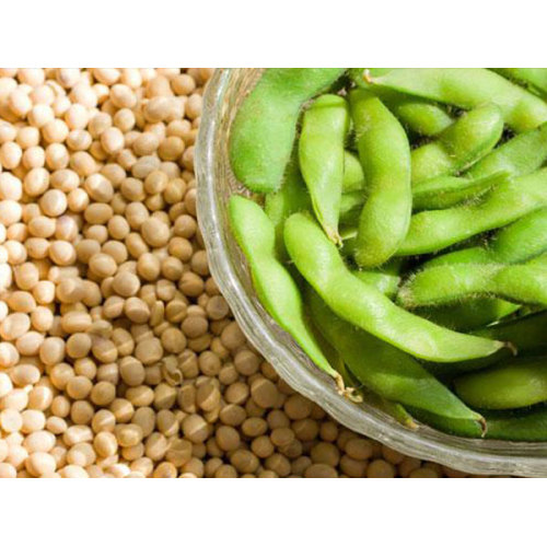 Food additive soy bean protein soy protein isolate