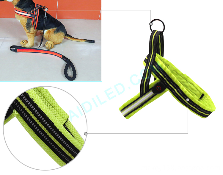 Best Dog Harness