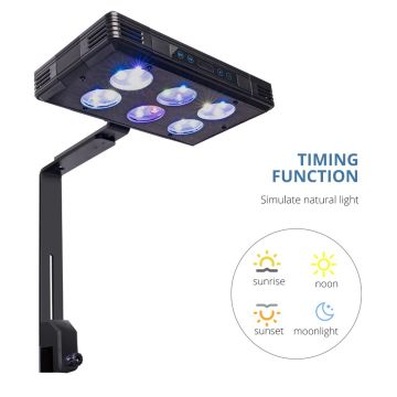 Đèn hồ cá LED LED LEF DIMBLE CAO CẤP