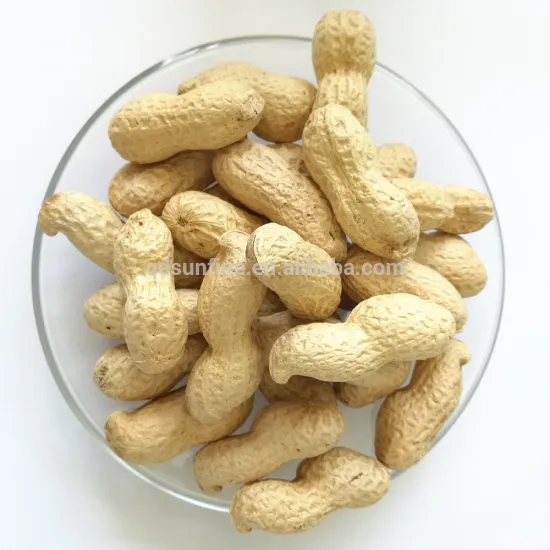 Dry roasted&salted organic roasted peanuts in shell