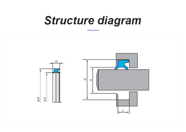 Em Dust Seal