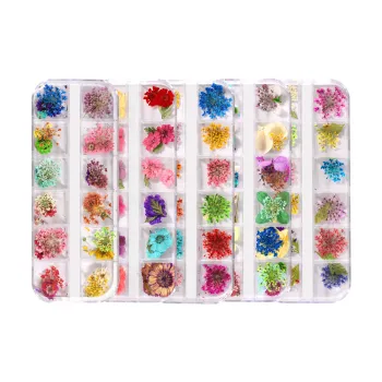 Wholesale Multi-Colors Natural Pressed Dry Flower Decorations for Mini Nail Art