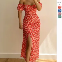 Elegant Line Dress Women's Dress