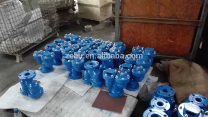 Double opening exhaust valve