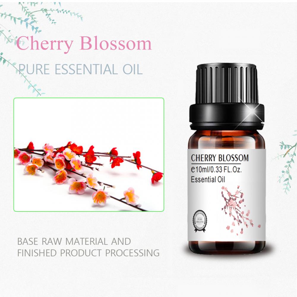 cosmetic grade top quality 10ml cherry blossom oil