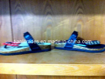 201 New Style Fashion Women Sandal Shoe (TSS02)