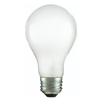 Frosted E27 Incandescent Light Bulbs: 110V/220V 60W-100W