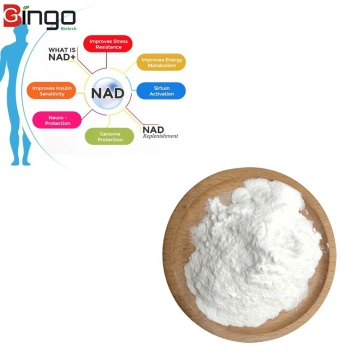 Best Selling Raw Material 98% NAD Powder