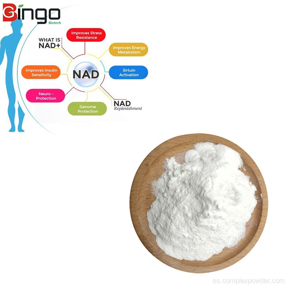 Materia prima más vendida 98% en polvo NAD