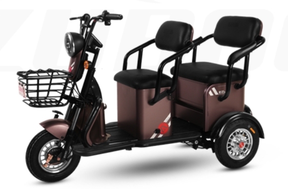 M1(Leisure Electric Tricycle)