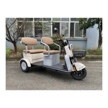 New Arrival Electric Passenger Tricycle - Disabled Three Wheel Motorcycle