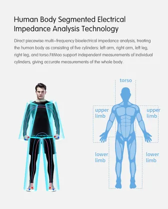 Professional 3D Body Scanner