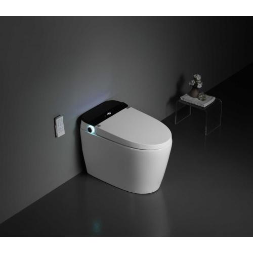 Sanitary Ware Floor Mounted One-Piece Intelligent Toilet