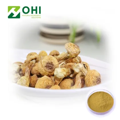 Agaricus Blazei Murill Mushroom Extract