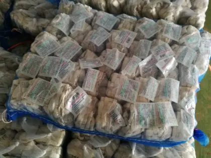 Fresh Solo Garlic Basket