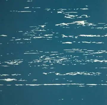 blue PVC flooring laminate flooring plastic flooring