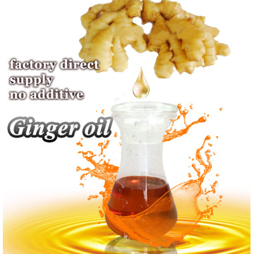 Wholesale steam distillation ginger oil for massage