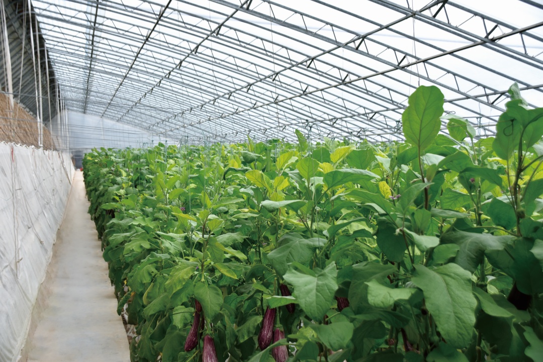 4 greenhouse film heat rention
