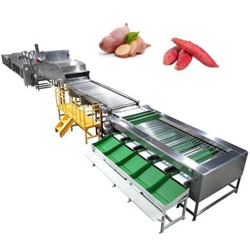 Automatic Sweet Potato Washing, Cleaning, Drying, Sorting, and Grading Machine Line