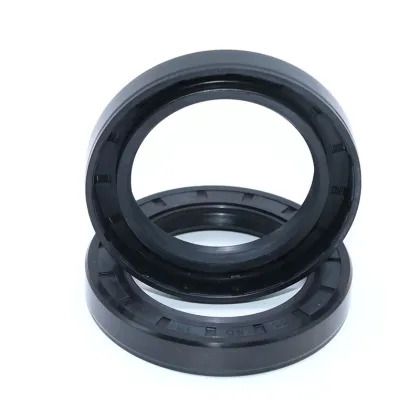 Hydraulic Oil Seal Bearing Rubber Seals