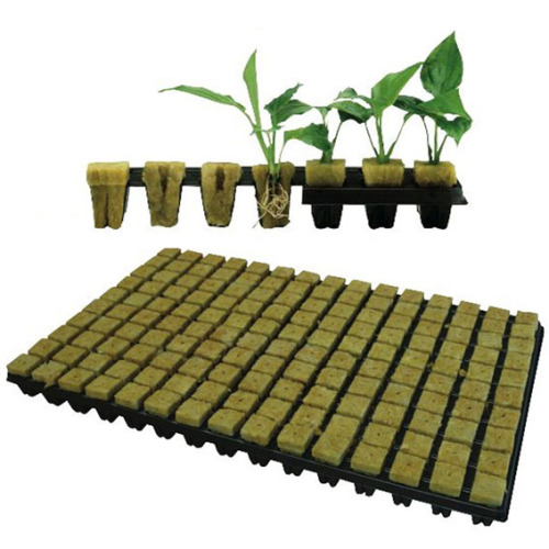 Rock Wool Hydroponics Planting system untuk Greenhouse