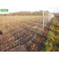 Glavanized PVC Coated Field Fence Deer Farm Fence