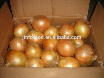 fresh yellow onion