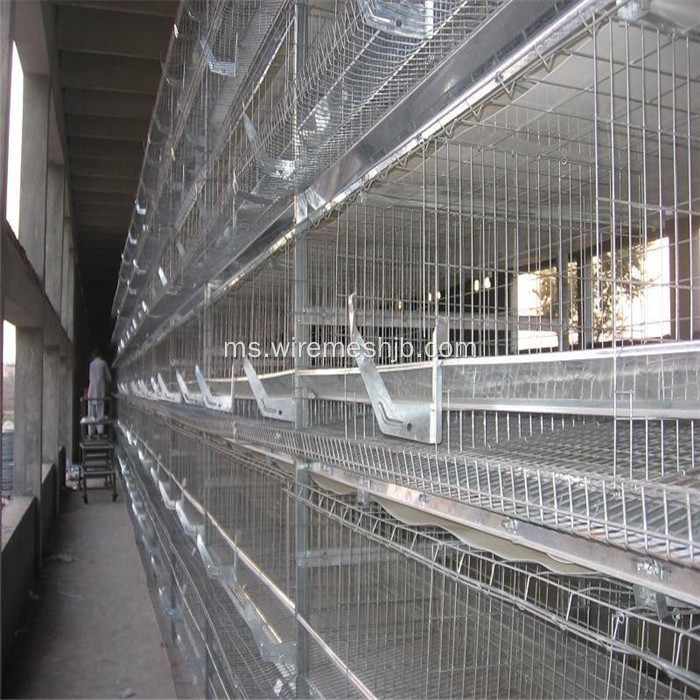 Panel Mesh yang dikimpal Galvanized Square untuk Chicken Cage