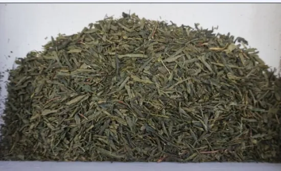 Organic China sencha steamed tea