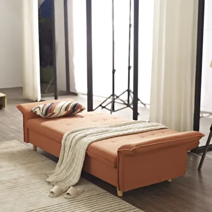 Morden living room guest beds