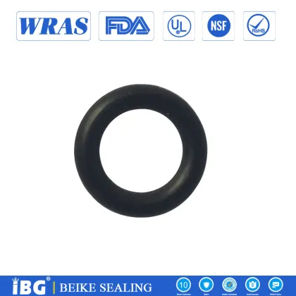 FFKM FFPM Aflas Rubber O Ring for chemical reactor