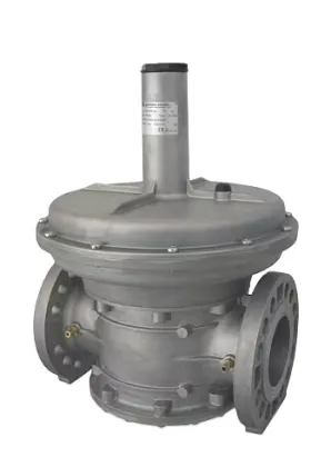 Industrial Gas Pressure Regulator with Built-in Filter Unit: Italy Giuliani FS1B65-DN65 Anello Valve