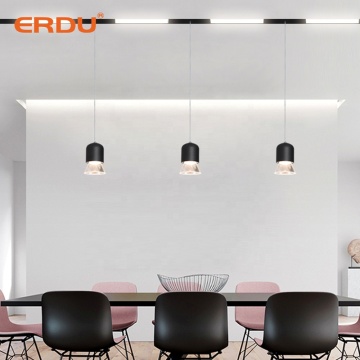 ERDU 48V LED Magnetic Track Ball Light