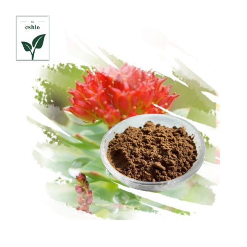 Hot Sale High Quality Rhodiola Rosea Powder Extract