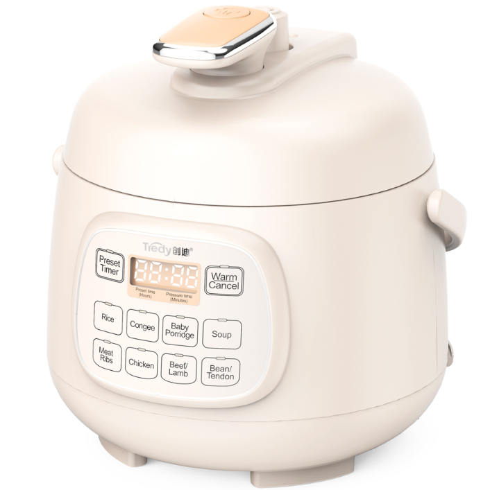mini electric pressure cooker 