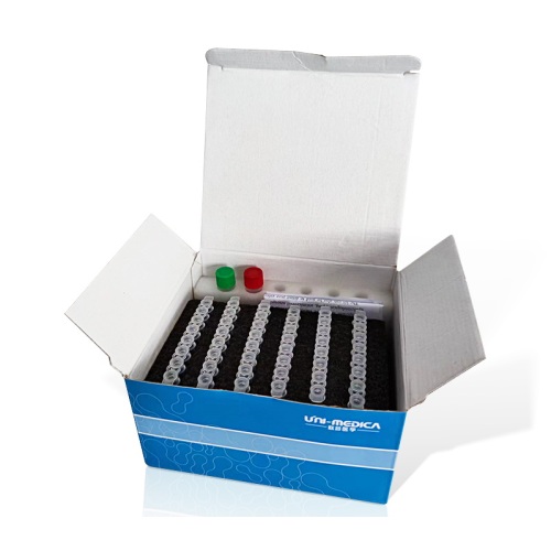 Multiplex Real Time PCR Kit for Carbapenem Resistance Gene