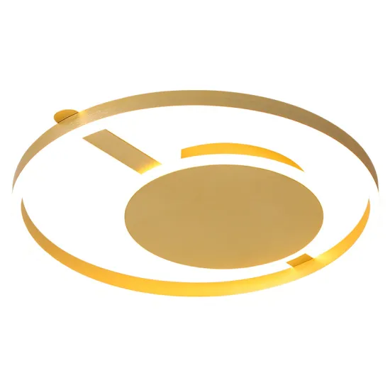 INSHINE Led Overhead Ceiling Lights