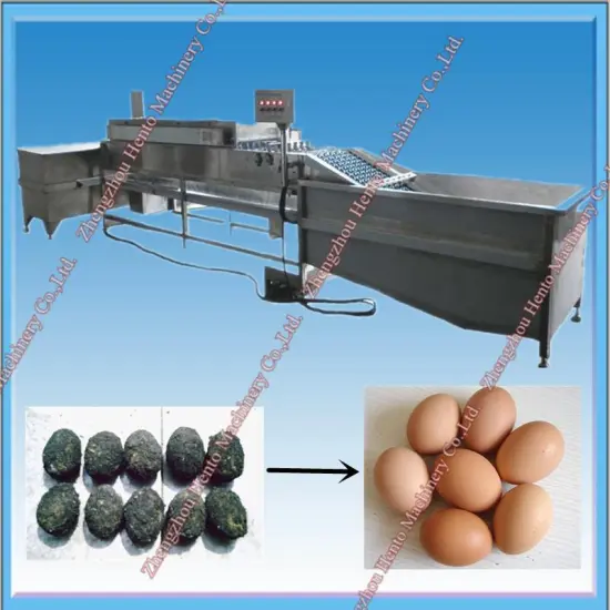 Duck / Chicken Egg Washer Machine For Sale