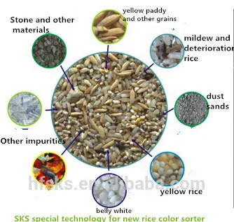Fragrant rice ccd optical system color separator/jasmine rice color selector
