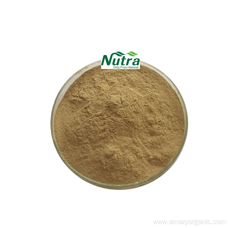 Organic Notoginseng Extract Powder