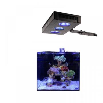 Lumière d&#39;aquarium LED Cree pour récif corallien