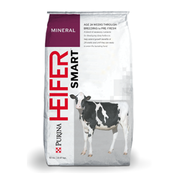 Flat Bottom Cow Feeds Emballasje Tilpasset Bag