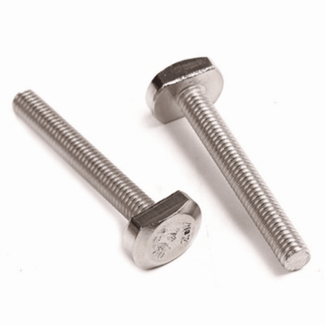 Industrial Stainless Steel T-Bolts