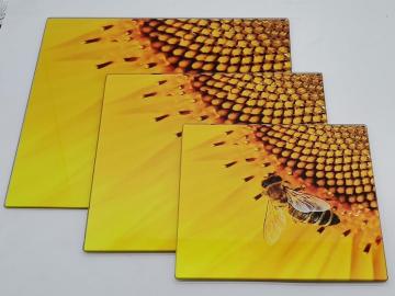 different sizes Tempered Glass Chopping Board