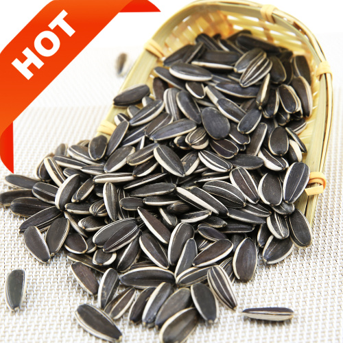 HOT SALE!!! The Top Quality Sunflower Seeds