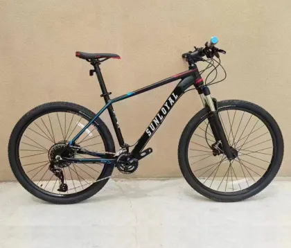 SL-AM27192-11S SRAM 29\" Alloy Mountain Bicycle Downhill Bike