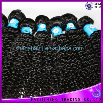 New arrival kinkly curly hair afro curly human hair weft